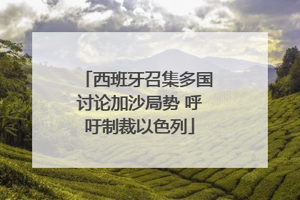 西班牙召集多国讨论加沙局势 呼吁制裁以色列